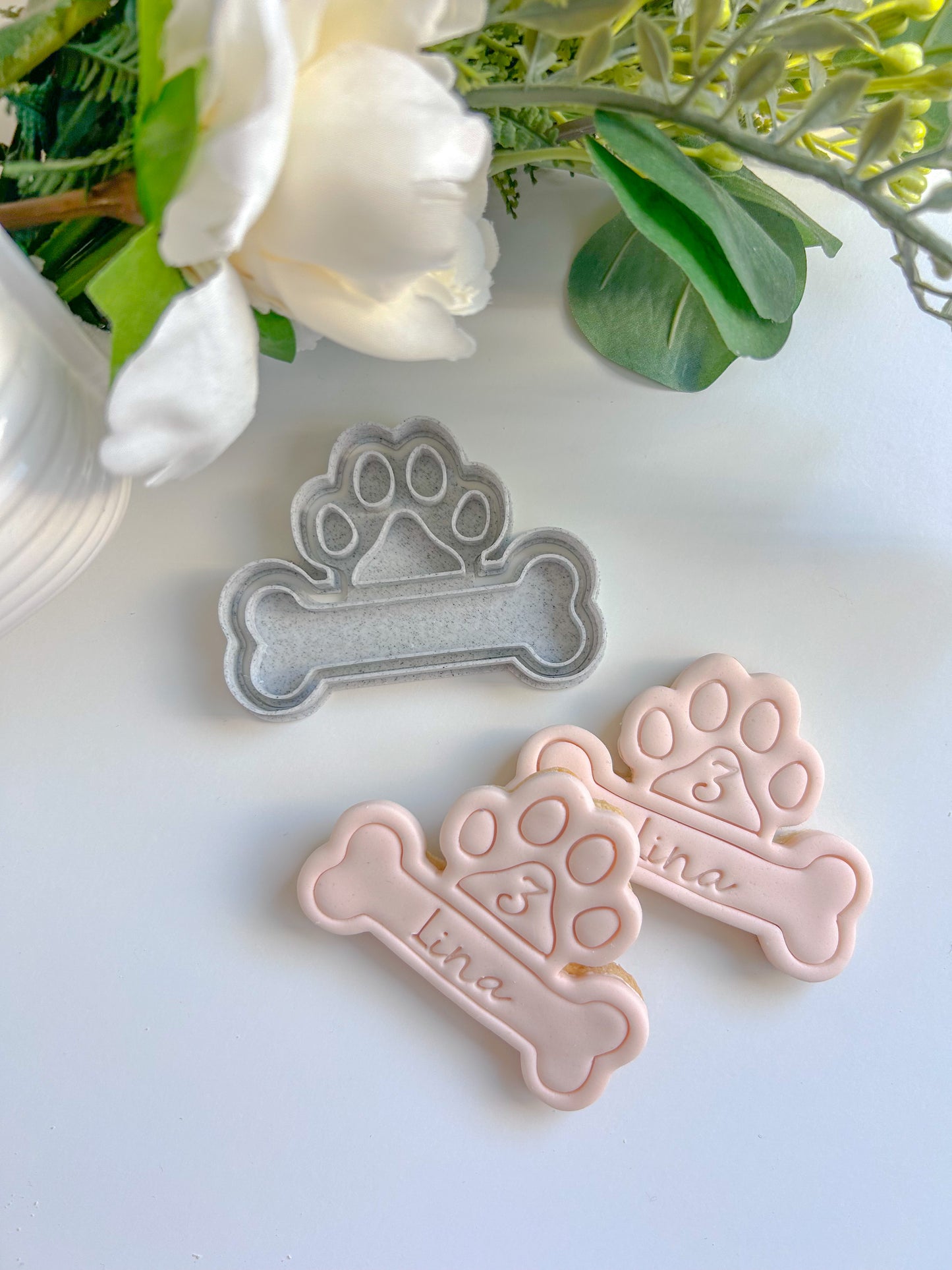 Plaque os chien