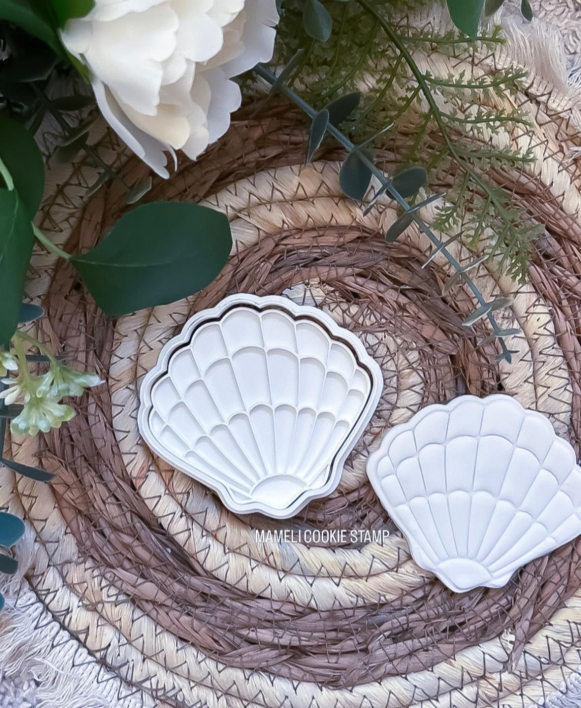Coquillage