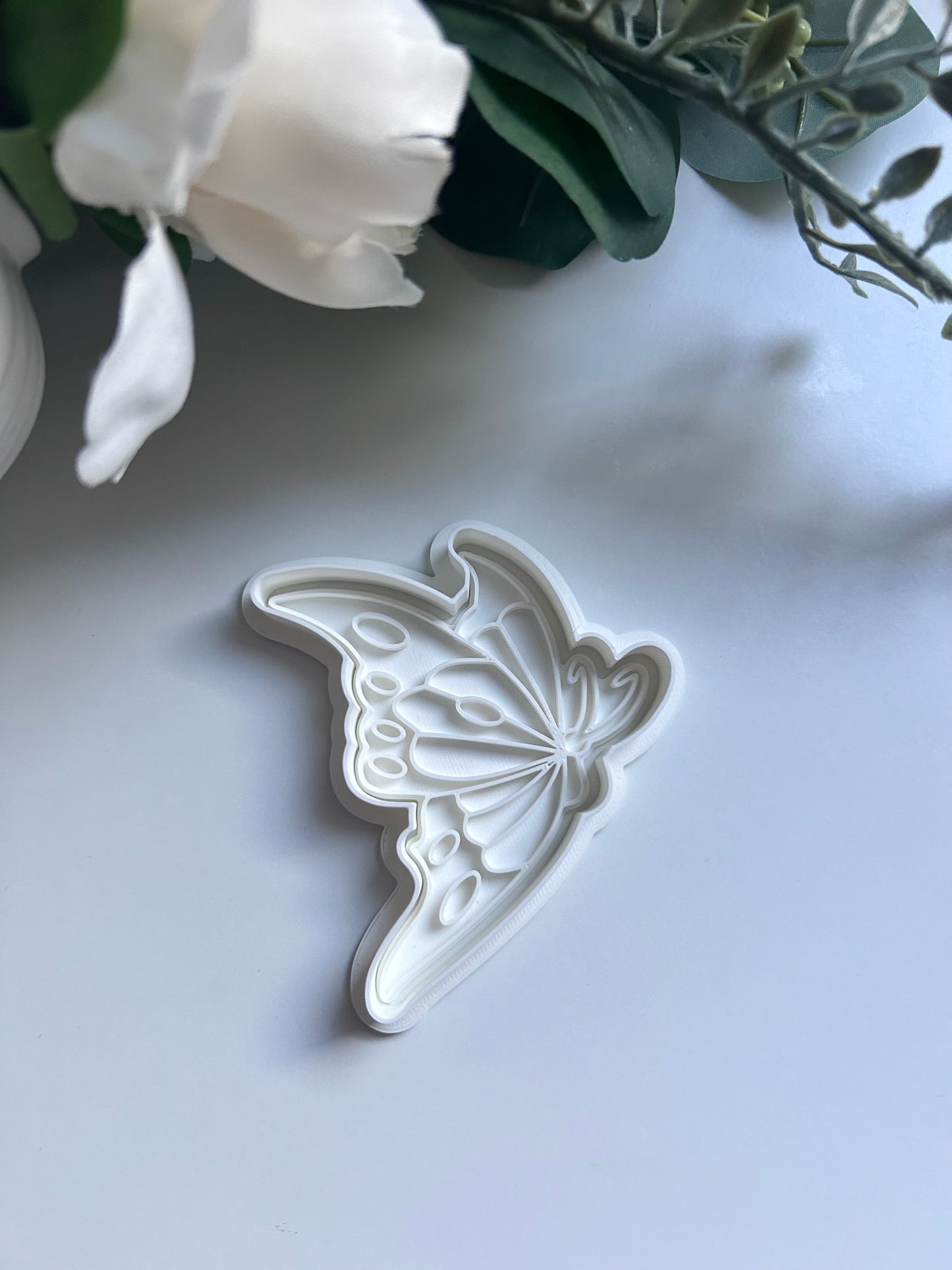 Papillon de profil