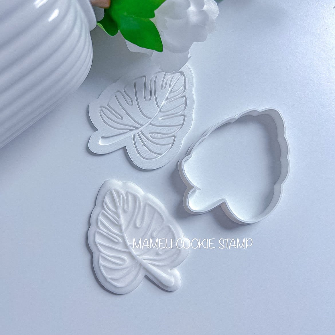 Feuille monstera