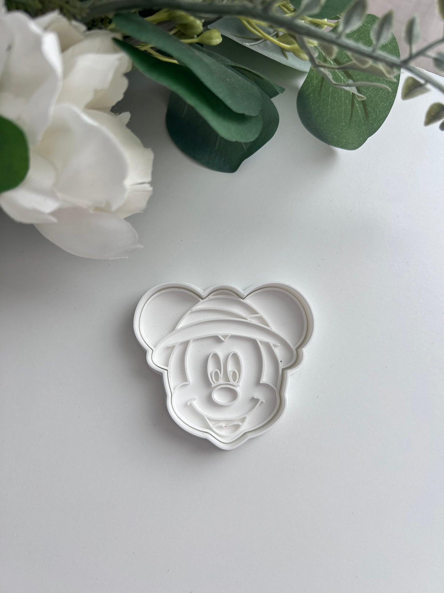 Mickey Safari