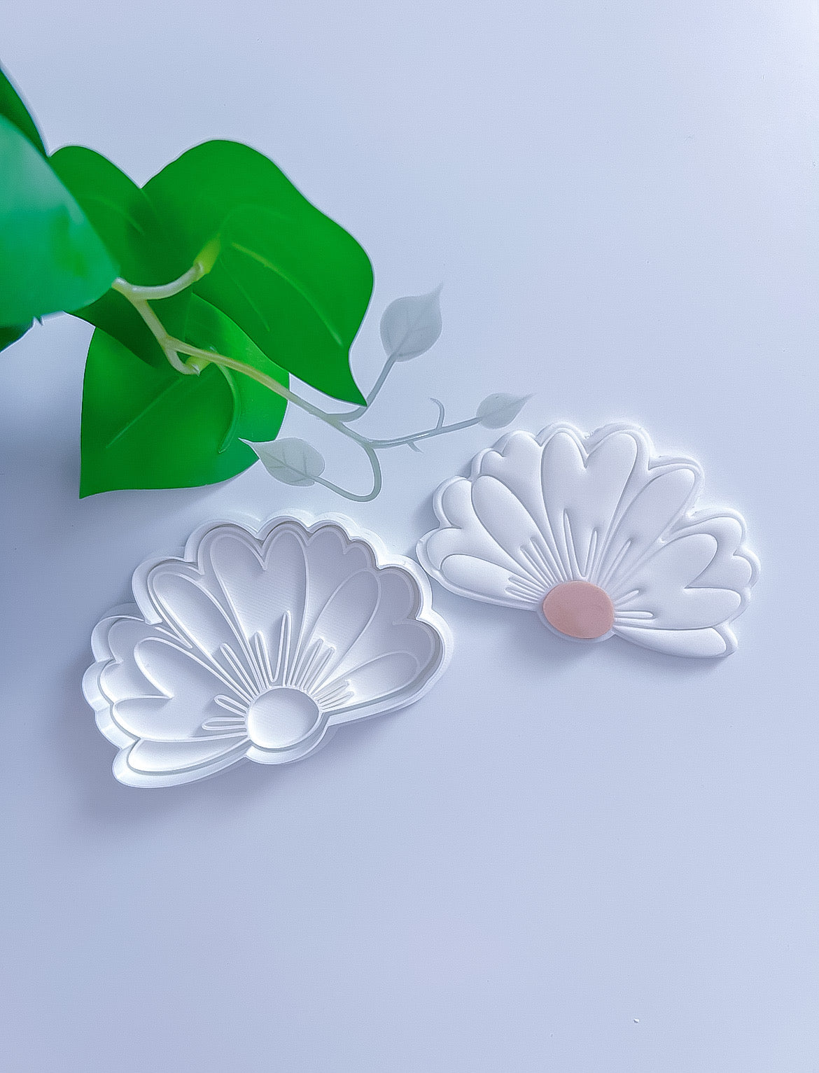 Découpe fleur marguerite