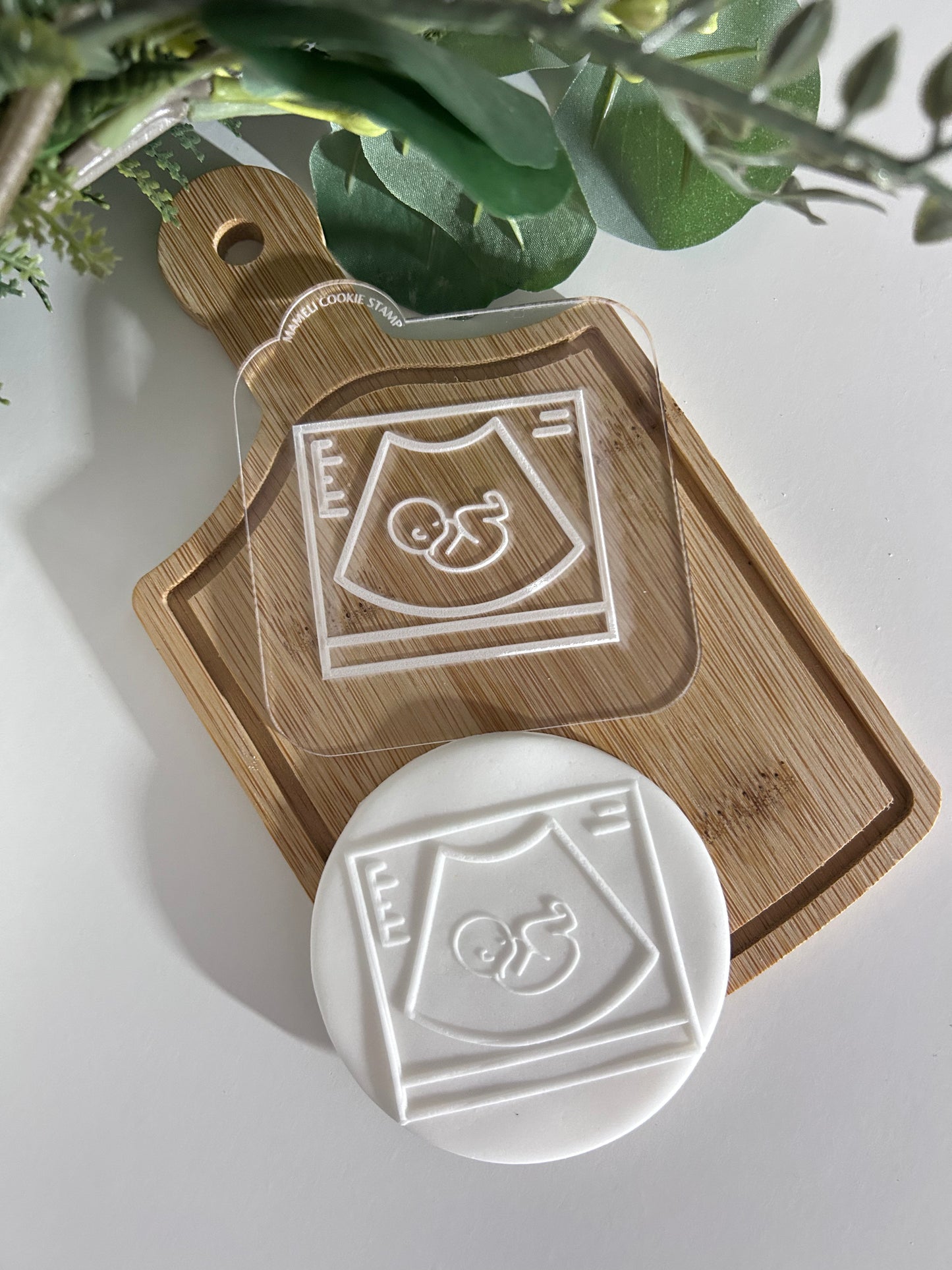 Échographie outbosser