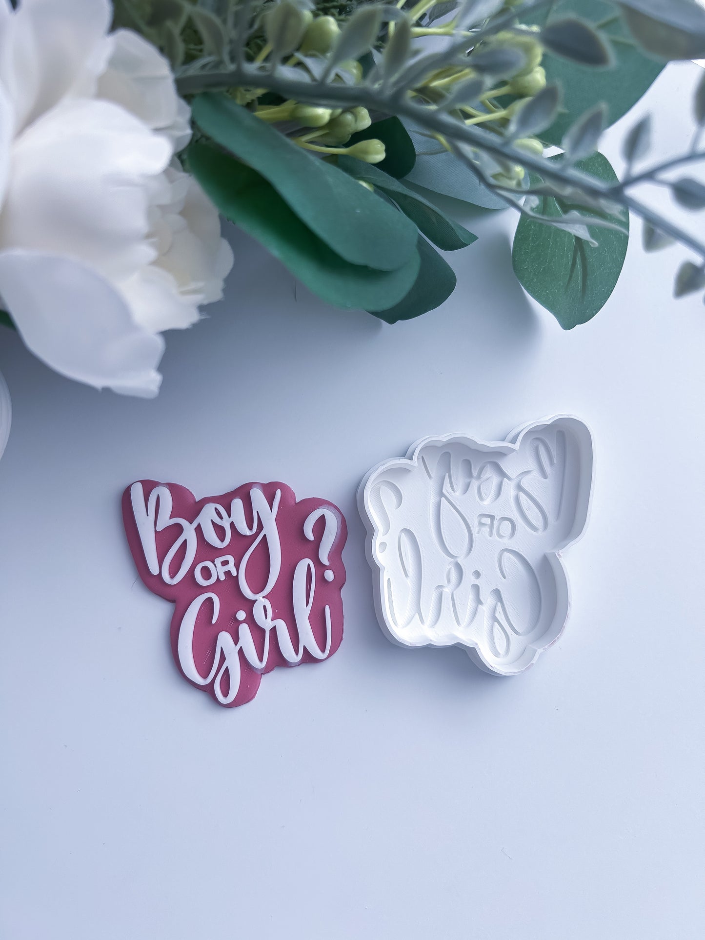 Boy or Girl