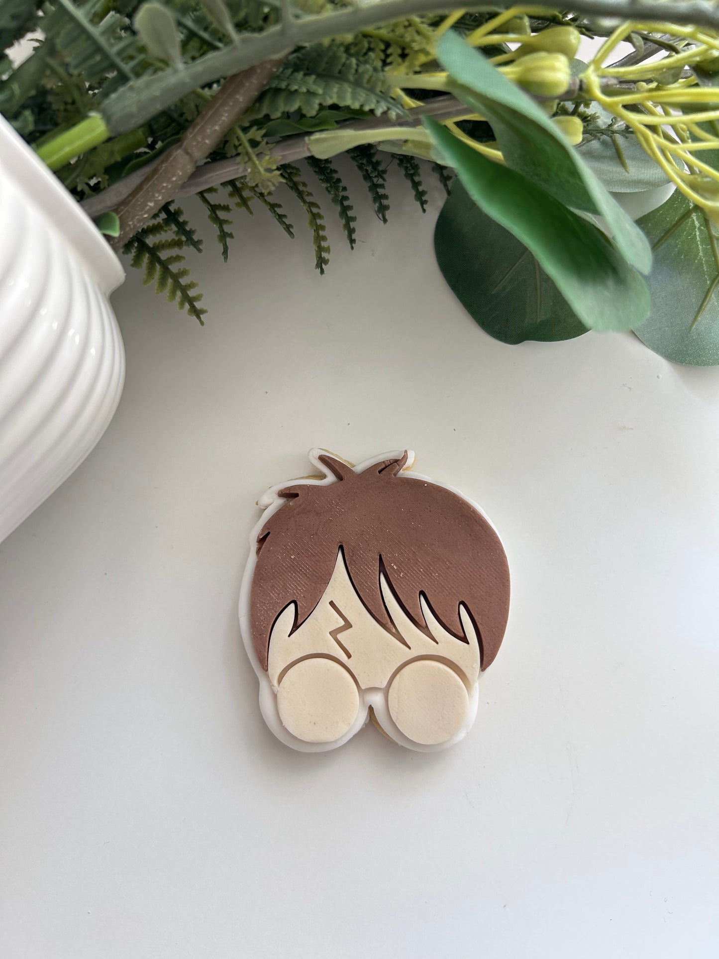 Harry Potter visage