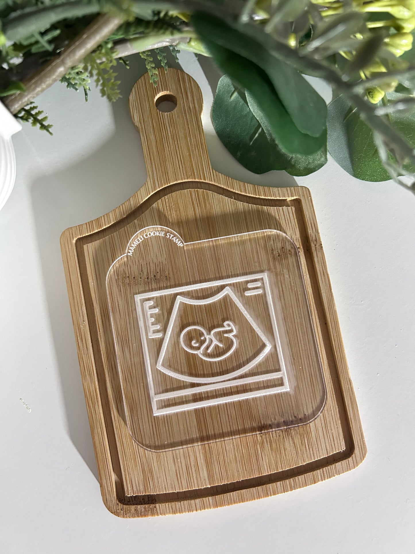 Échographie outbosser